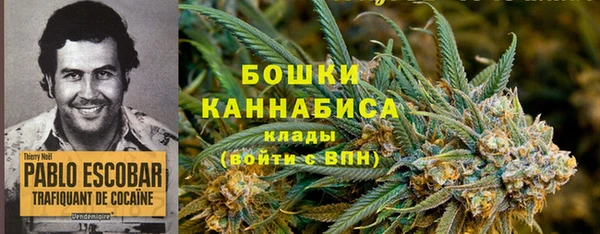 молекула духа Алзамай