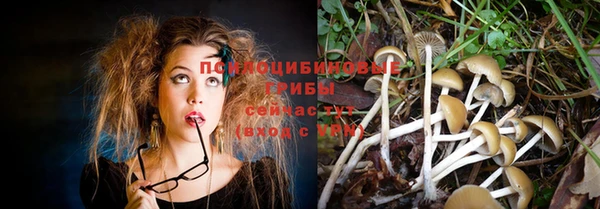 молекула духа Алзамай